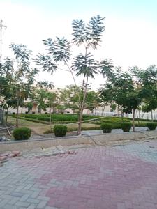 Image of 2008 Sq.ft 4 BHK Villa for rent in Swadesh Orchard Majesty, Gandhinagar, Bhopal for Rs. 32000