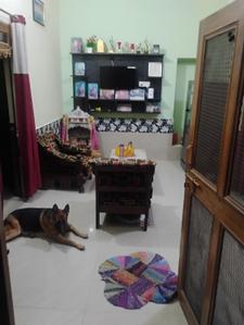 Balcony Image of 1200 Sq.ft 7 BHK Independent House for sale in Dholi Pyau Mathura for Rs. 30000000