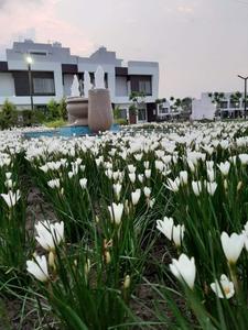 Balcony Image of 780 Sq.ft 3 BHK Duplex for sale in Casa Heaven, Talawali Chanda Indore for Rs. 8500000