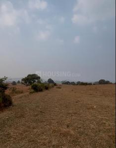 Image of 8000 Sq.ft Residential Plot / Land for sale in Pmpri Trimbak, Nashik for Rs. 15000000