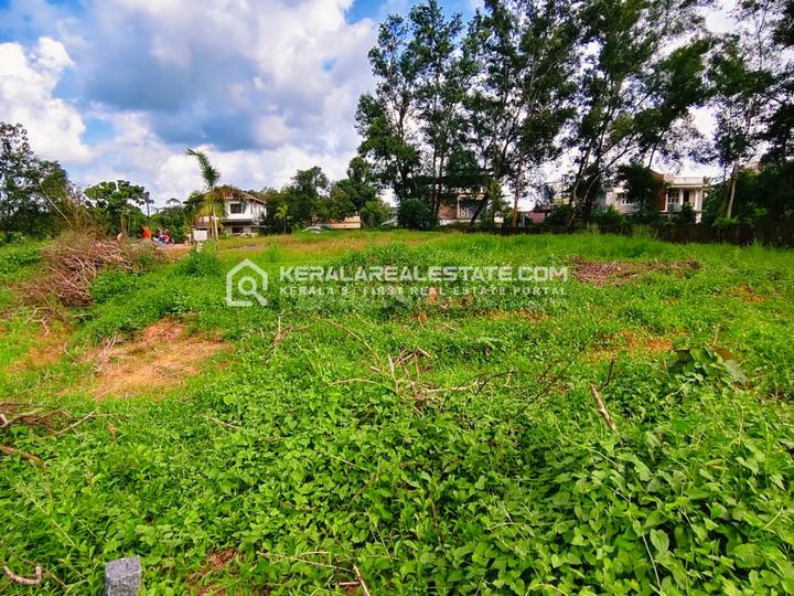 Fatrade Main Image 1