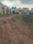 New Royal Enclave Internal Roads 2