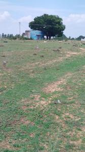 Image of 1525 Sq.ft Residential Plot / Land for sale in Pinjivakkam, Chennai for Rs. 1350000