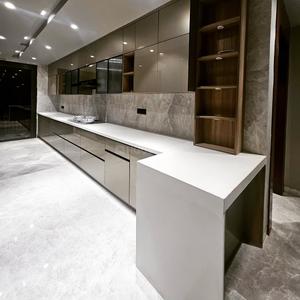 Kitchen Image of 4700 Sq.ft 9 BHK Villa for sale in Palam Vihar Gurgaon for Rs. 120000000