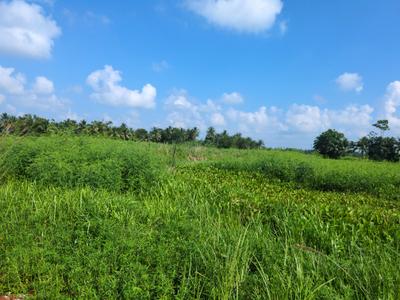 Image of 720 Sq.ft Residential Plot / Land for sale in Nest Valley, Joka, Kolkata for Rs. 200300