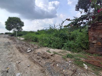 Residential Plot