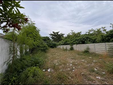 Raja Garden Plot View 3