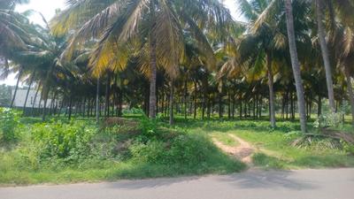 Image of 1968 Sq.ft Residential Plot / Land for sale in Mahalingapuram, Pollachi for Rs. 5000000