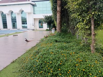 Image of 1500 Sq.ft Residential Plot / Land for sale in Aarone County Walk Plots, County Walk Township, Indore for Rs. 8550000