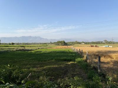 Image of 1146 Sq.ft Residential Plot / Land for sale in Dharmawala, Dehradun for Rs. 2050000