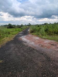 Wander Valley Internal Roads 2