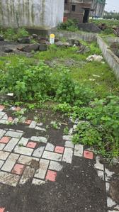 Image of 1669 Sq.ft Residential Plot / Land for sale in 7 Hills Plot E, Charholi Budruk, Pune for Rs. 7500000