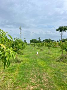 Mangampet Plot View 3