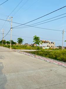 Sanwer Plot View 2