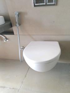 Common Bathroom Image of 700 Sq.ft 2 BHK Apartment / Flat for sale in Cozy Homes, Wagholi Pune for Rs. 5300000
