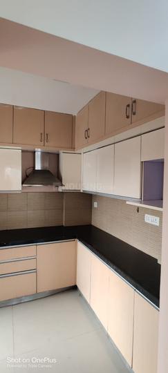 Pride Purple Park Springs Main Image 1