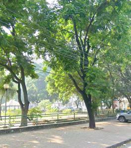Image of 1800 Sq.ft Residential Plot / Land for sale in Sector 65, Mohali for Rs. 42500000