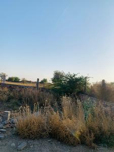 Image of 1250 Sq.ft Residential Plot / Land for sale in Dharti Paradise Phase II, Basni Baghela, Jodhpur for Rs. 3600000
