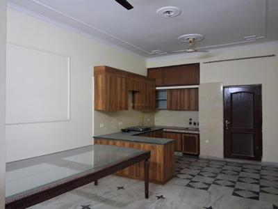 Kitchen Image of 4035 Sq.ft 4 BHK Builder Floor for rent in Sector 55 Noida for Rs. 60000