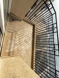 Balcony Image of 1165 Sq.ft 2 BHK Apartment / Flat for sale in ATS Happy Trails, Noida Extension Greater Noida for Rs. 13800000