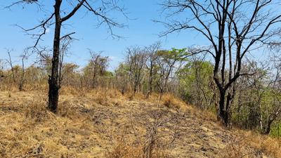Image of 1089 Sq.ft Residential Plot / Land for sale in Parali, Raigad for Rs. 350000