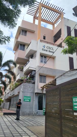 Coromandel Coral Ennar Main Image 1