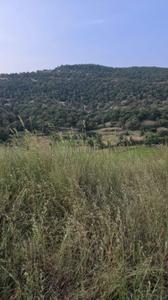Image of 11000 Sq.ft Residential Plot / Land for sale in Sanjay Nagar, Pune for Rs. 2020000