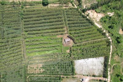Image of 20400 Sq.ft Residential Plot / Land for sale in Biharigarh, Saharanpur for Rs. 50000000