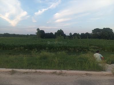 Image of 2800 Sq.ft Residential Plot / Land for sale in Mora Mustahkam, Moradabad for Rs. 20000000