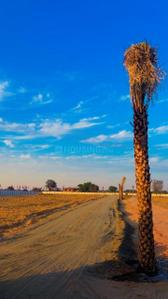 Morsar Plot View 1