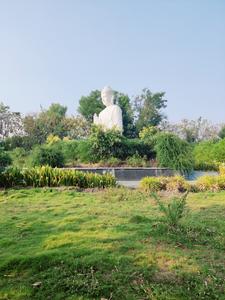 Image of 1386 Sq.ft Residential Plot / Land for sale in Chinthapally, Nalgonda for Rs. 1309000