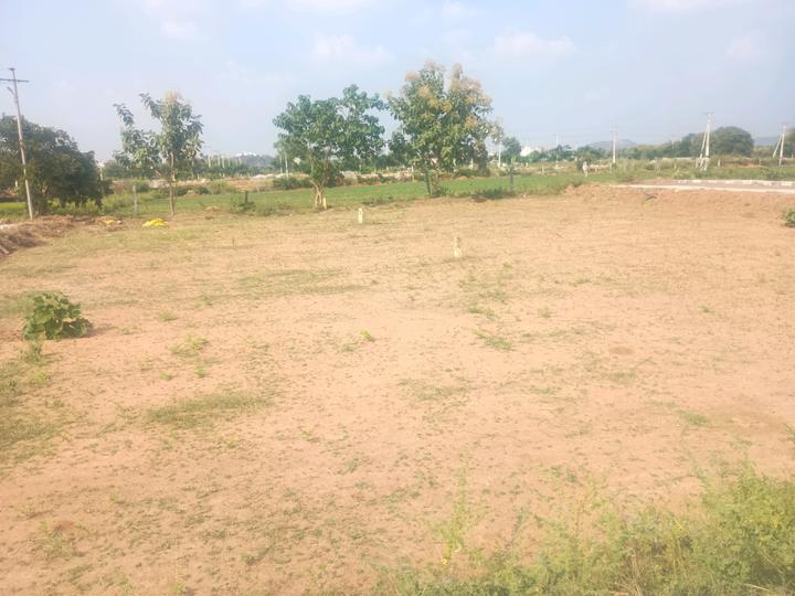 Kothur Plot View 1