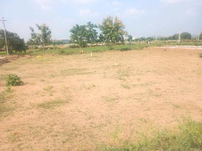 Kothur Plot View 1