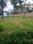 Rachenahalli, Thanisandra Plot View 2