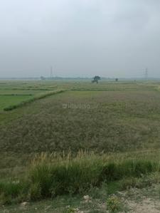 Image of 2700 Sq.ft Residential Plot / Land for sale in Basdeopur, Darbhanga for Rs. 3300000