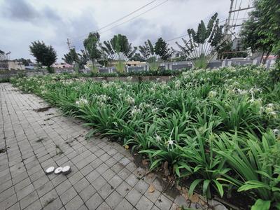 Image of 850 Sq.ft Residential Plot / Land for sale in Sangeeta Bagdi Sapna Sangeeta Residency, Musakhedi, Indore for Rs. 6375000