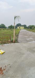Image of 1800 Sq.ft Residential Plot / Land for sale in Bhauwala, Dehradun for Rs. 5400000