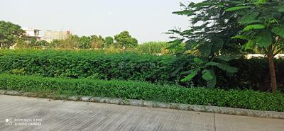 Residential Plot