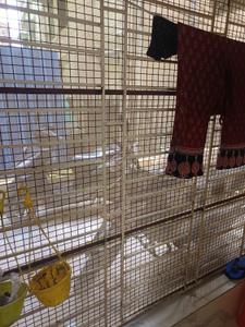 Balcony Image of 600 Sq.ft 1 BHK Apartment / Flat for sale in Lake Town Kolkata for Rs. 3400000