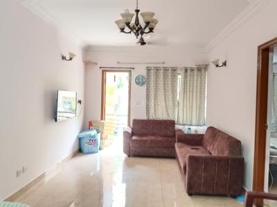Hall Image of 1216 Sq.ft 2 BHK Apartment / Flat for sale in Surabhi Apartments, Bilekahalli Bengaluru for Rs. 15500000