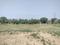 Sector 75 Plot View 2