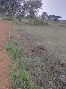 Patrapada Plot View 1