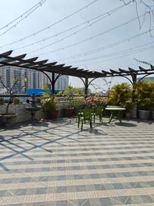 Image of 550 Sq.ft 2 BHK Builder Floor for rent in Pioneer Floors - 8, Sector 15, Gurgaon for Rs. 35000