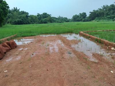 Image of 1200 Sq.ft Residential Plot / Land for sale in Phulnakhara, Cuttack for Rs. 1980000