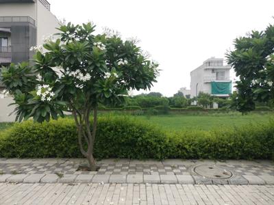 Mansha Oaks Plot View 1