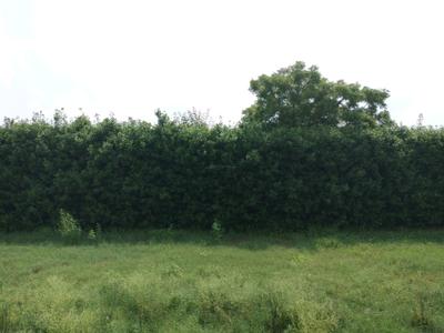 Image of 175 Sq.ft Residential Plot / Land for sale in Mansha Oaks, Sector 98, Faridabad for Rs. 21875000