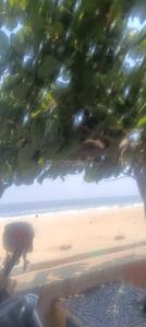 Image of 1100 Sq.ft 2 BHK Independent House for rent in Besant Nagar, Chennai for Rs. 50000
