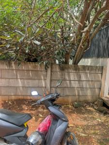 Image of 4000 Sq.ft Residential Plot / Land for sale in Affinity Serenity, Ramanashree California Gardens Layout, Bengaluru for Rs. 54000000