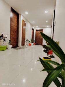 Hall Image of Noida nest  in Sector 41, Noida