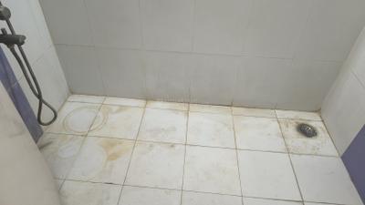 Image of 1800 Sq.ft 3 BHK Independent House for rent in Jhala Manjari Greens, Manjari Budruk, Pune for Rs. 35000